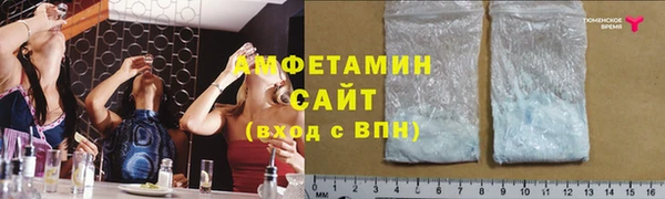 мет Алексин