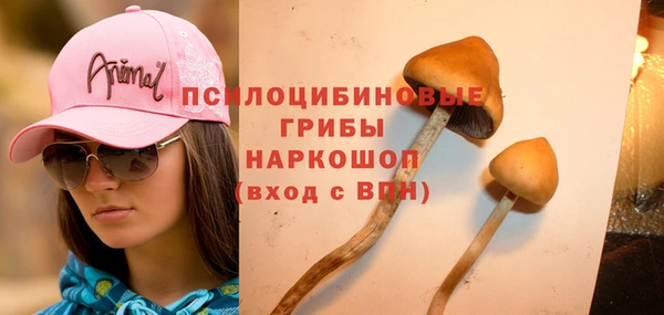 Альфа ПВП Алексеевка