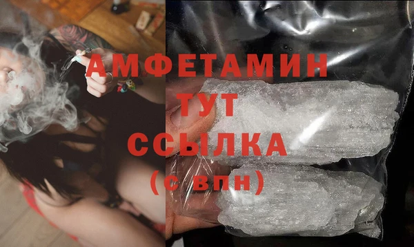 мет Алексин