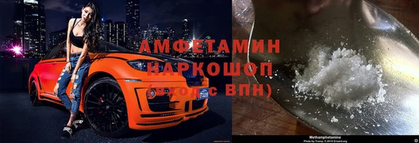 мет Алексин