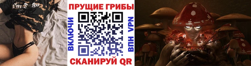 МЕГА ONION  где купить наркоту  Волгодонск  Псилоцибиновые грибы Cubensis 